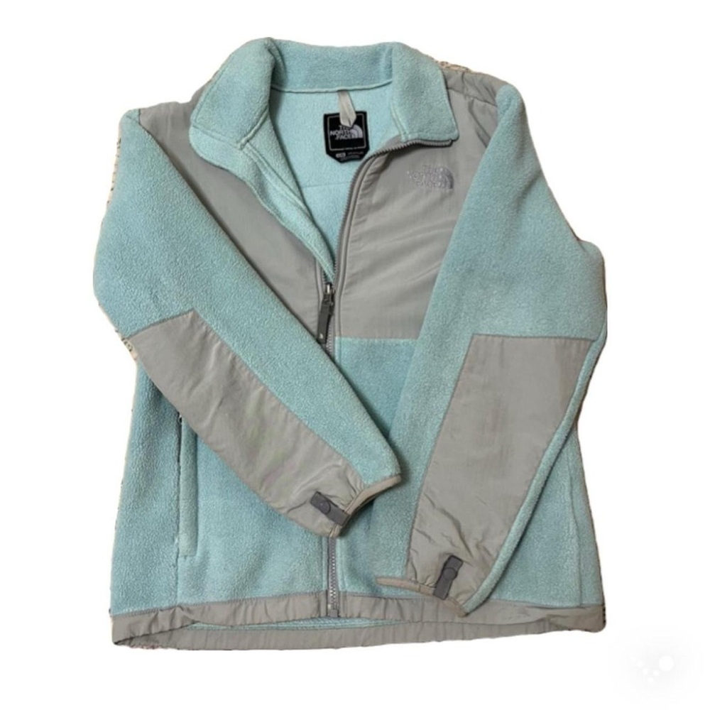 Blue and Grey The North Face Fleece Jacket